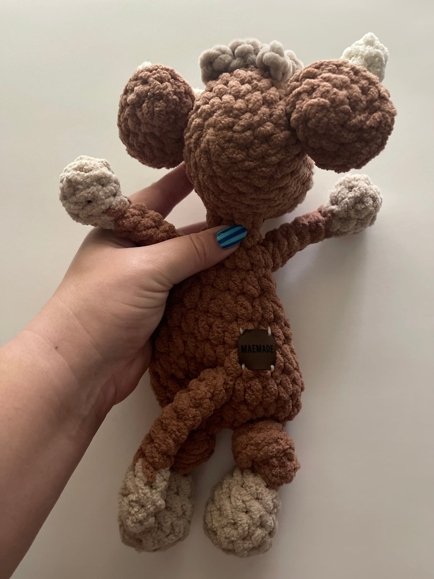 Hank the Highland Cow