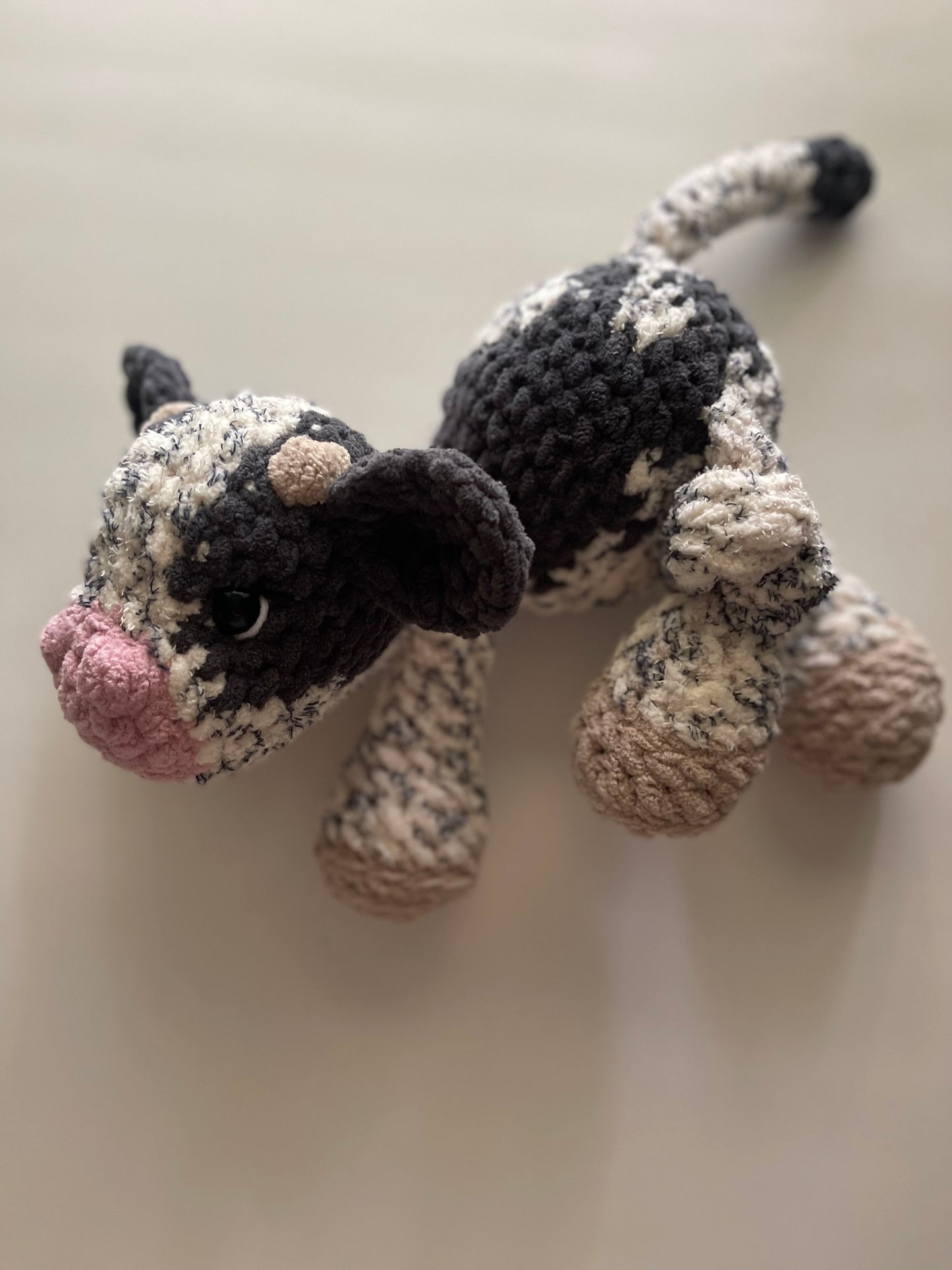 Crosby the Cow