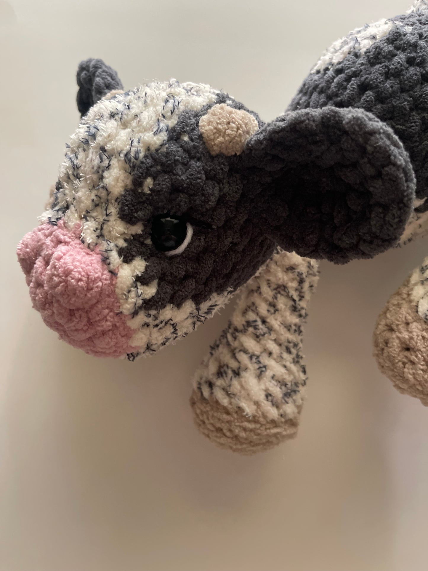 Crosby the Cow