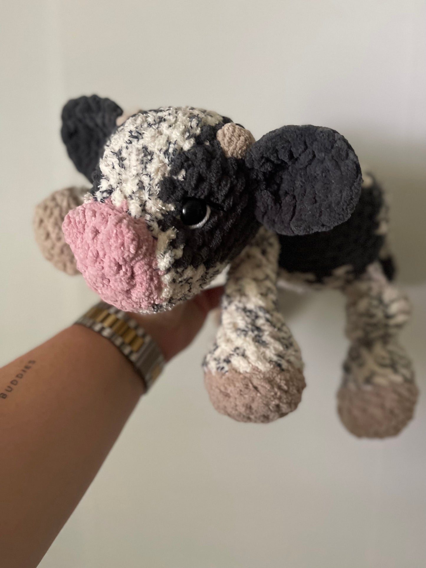Crosby the Cow