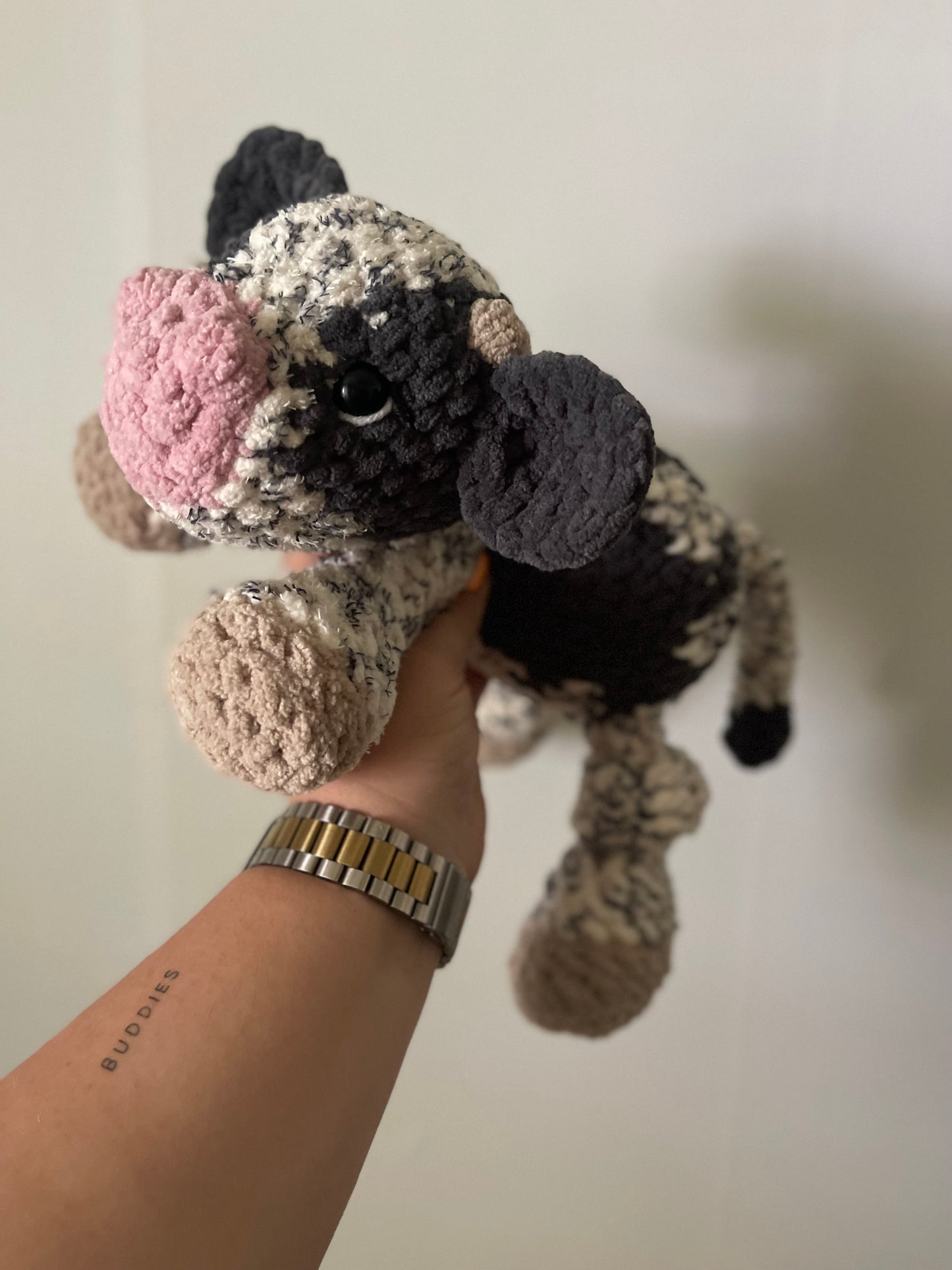 Crosby the Cow