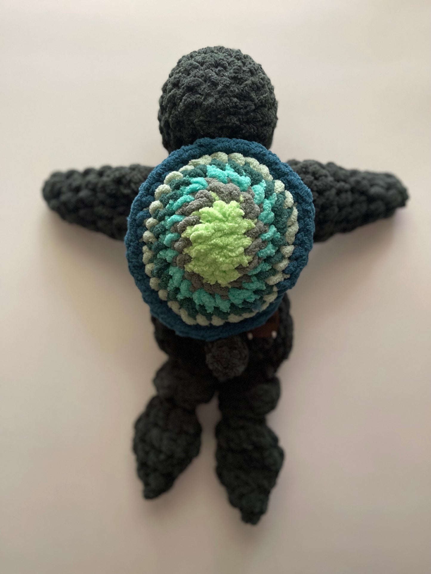 Theo the Turtle