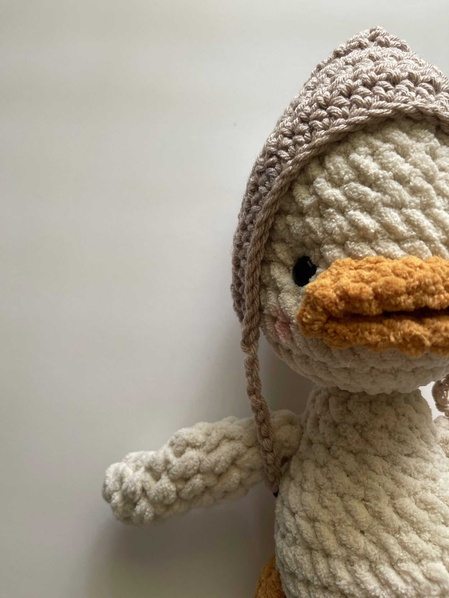 Bubbles the Duck