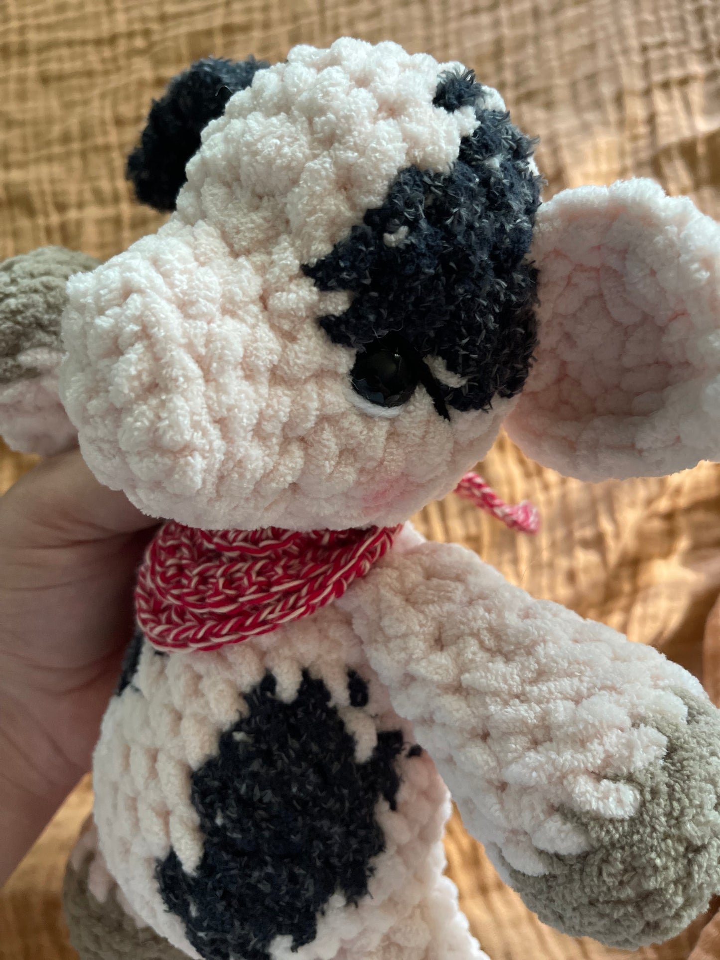 Winnie the Pig Plushie