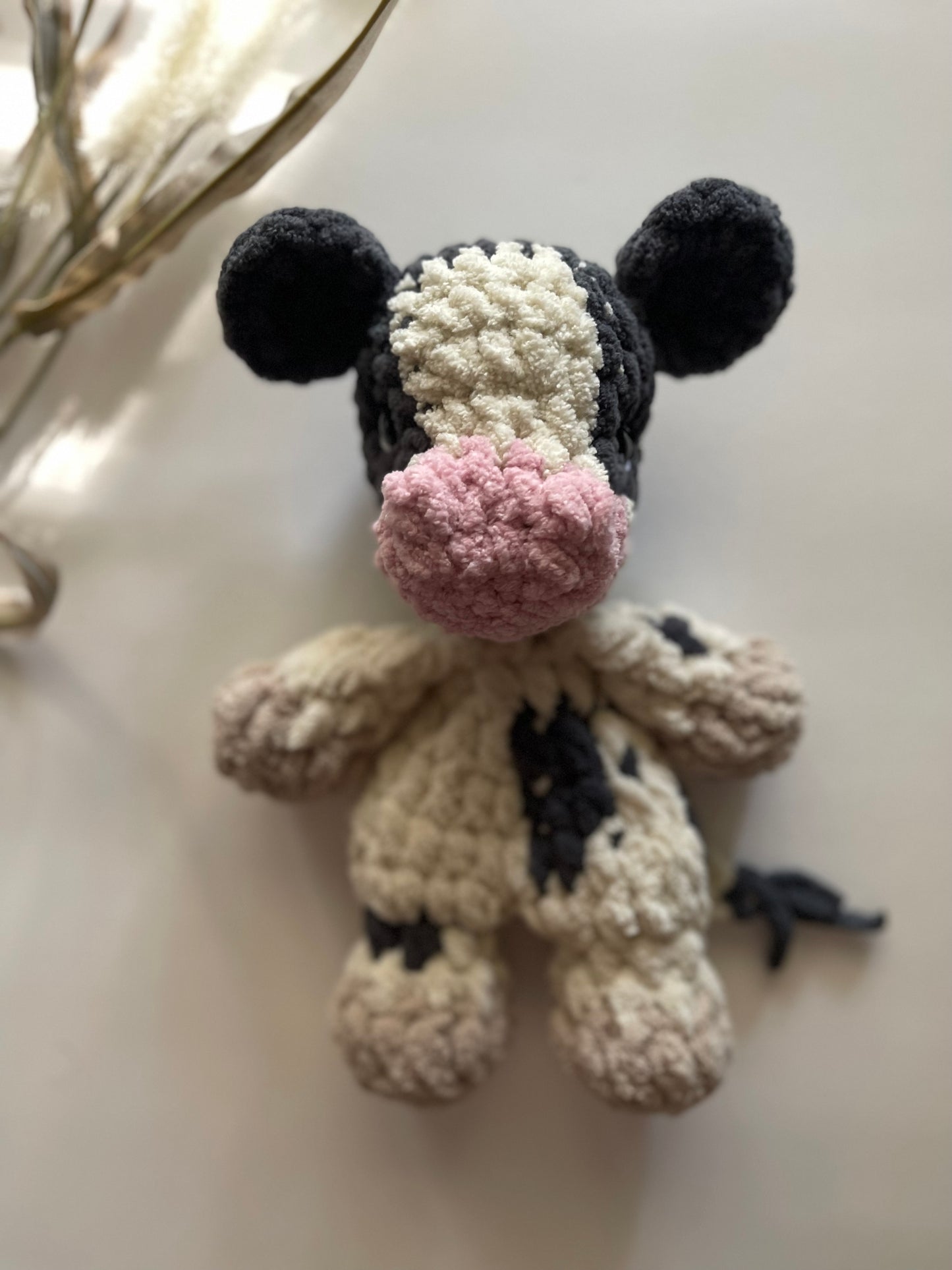 Colbie the Calf - Bitty