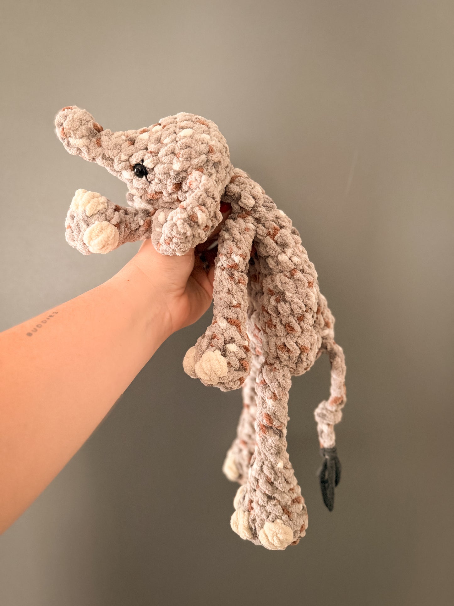 Zim the Baby Elephant