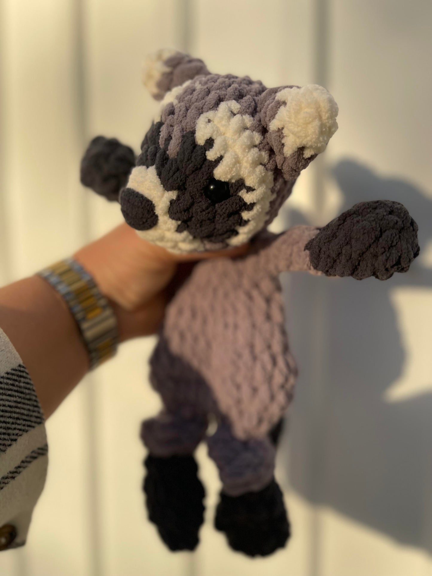 Rhodes the Raccoon