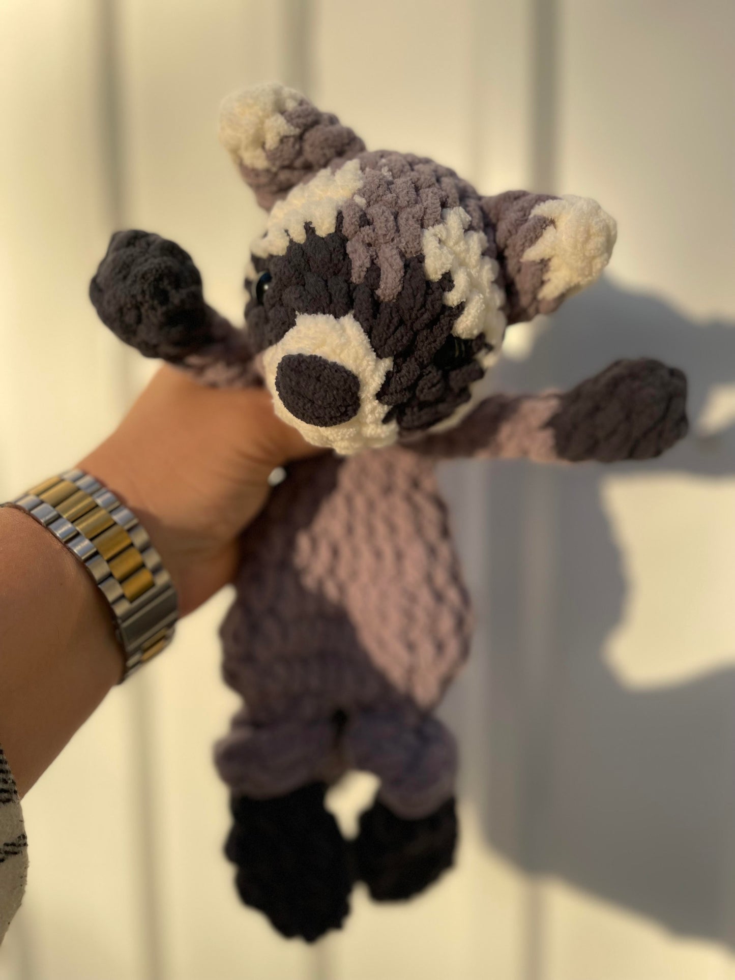 Rhodes the Raccoon