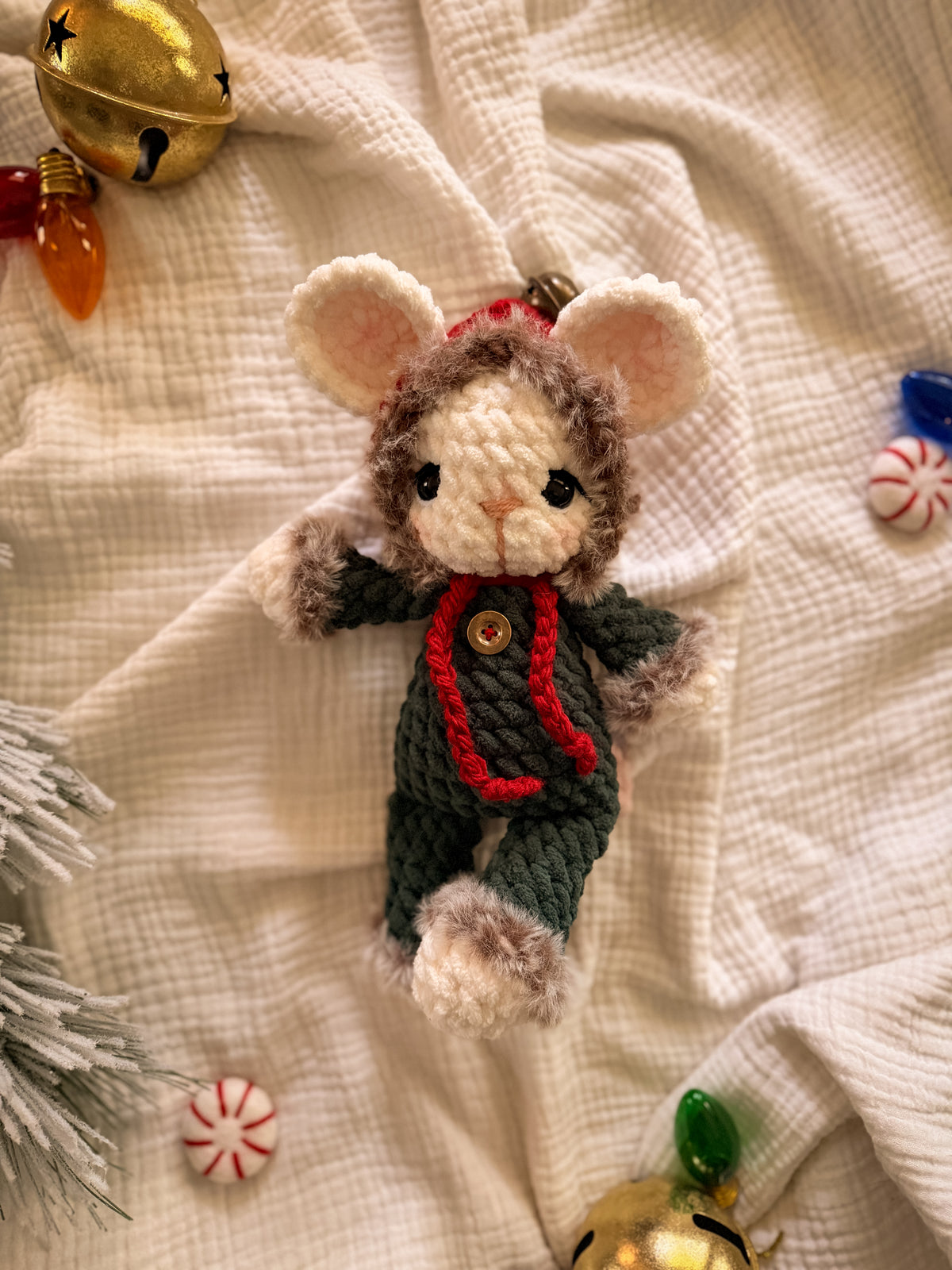 Mouse in the House