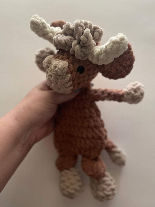 Hank the Highland Cow