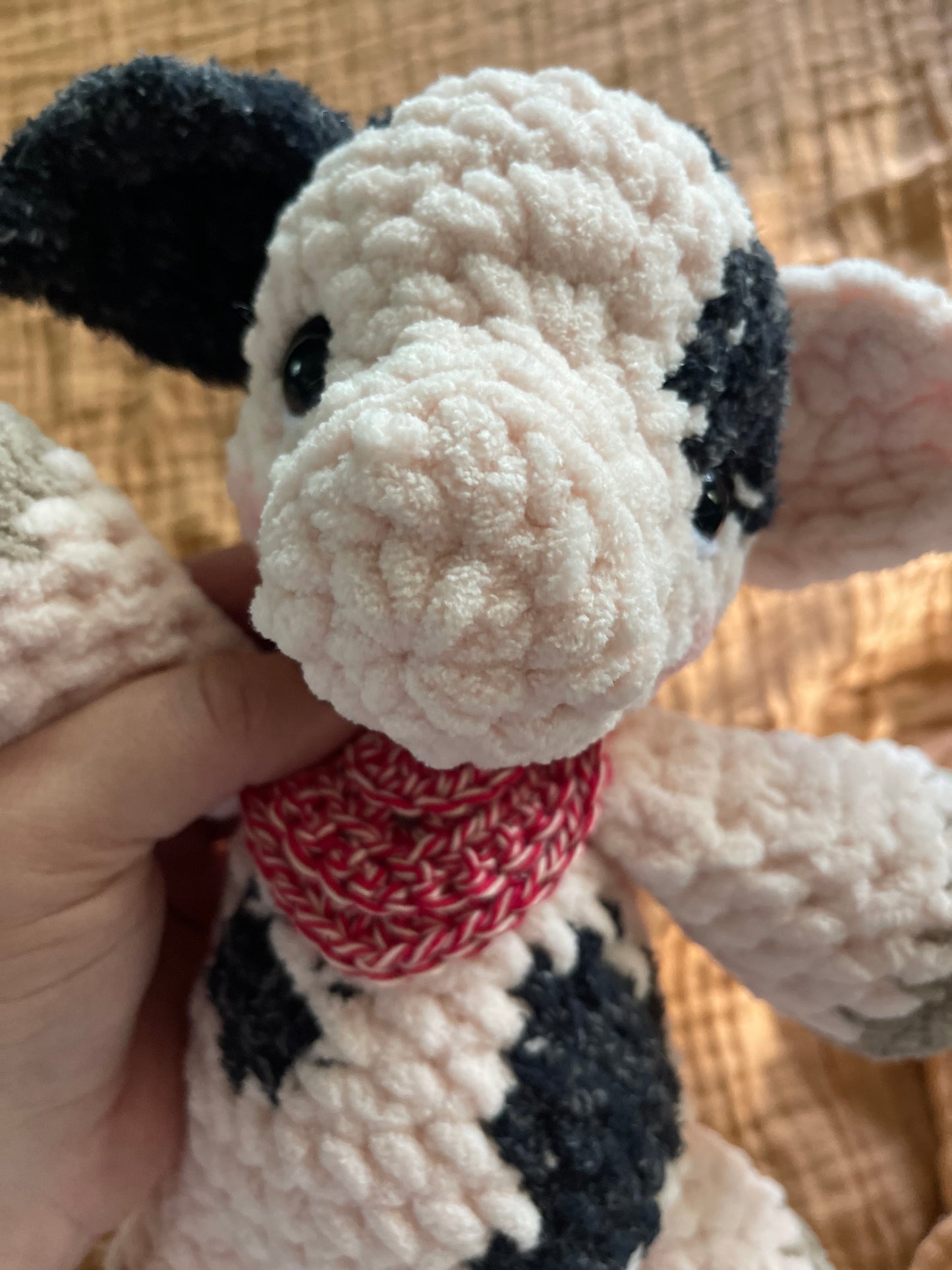 Winnie the Pig Plushie