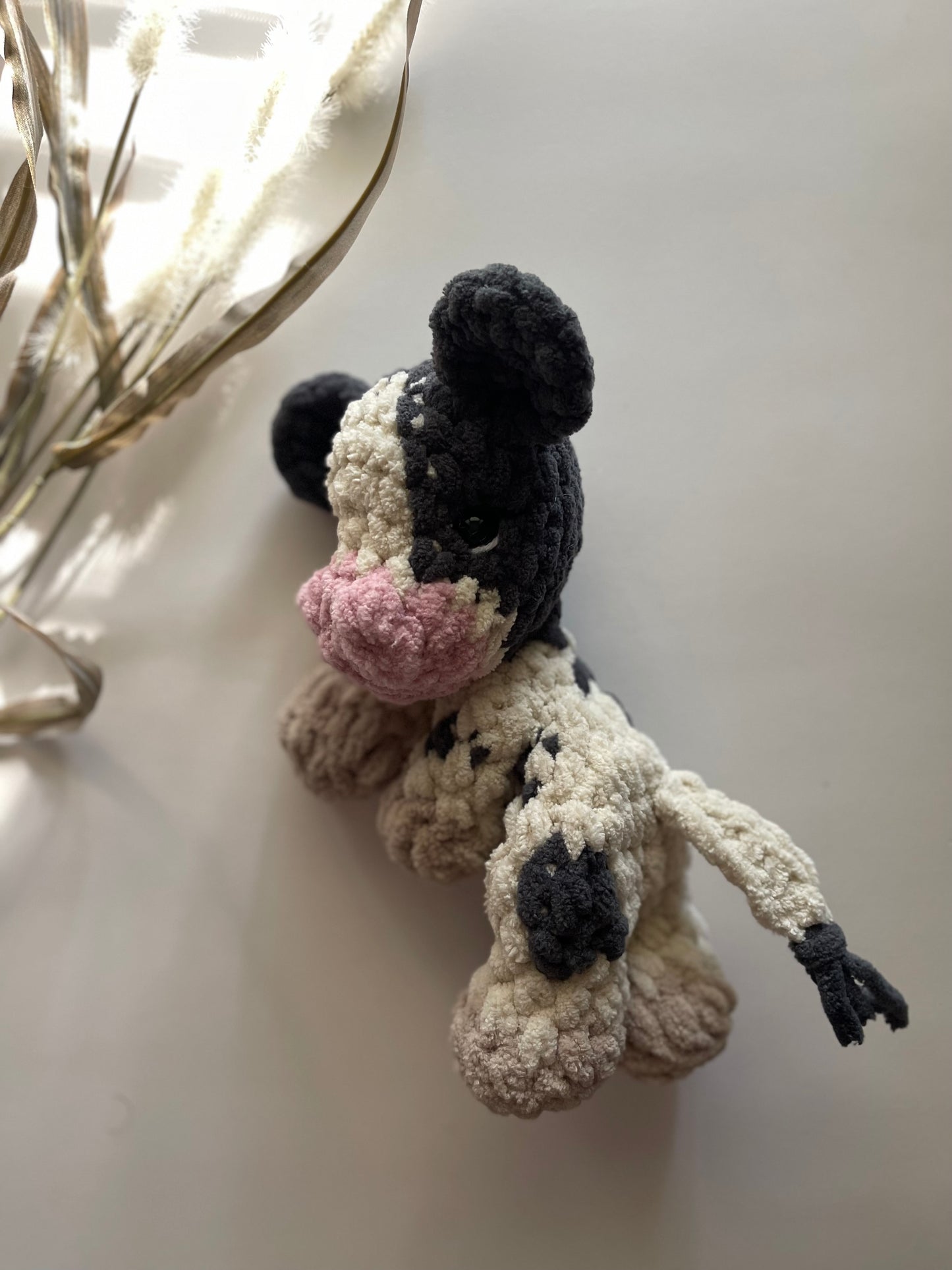 Colbie the Calf - Bitty