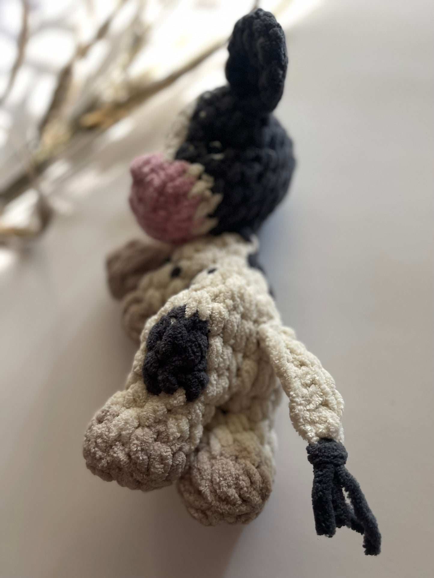 Colbie the Calf - Bitty