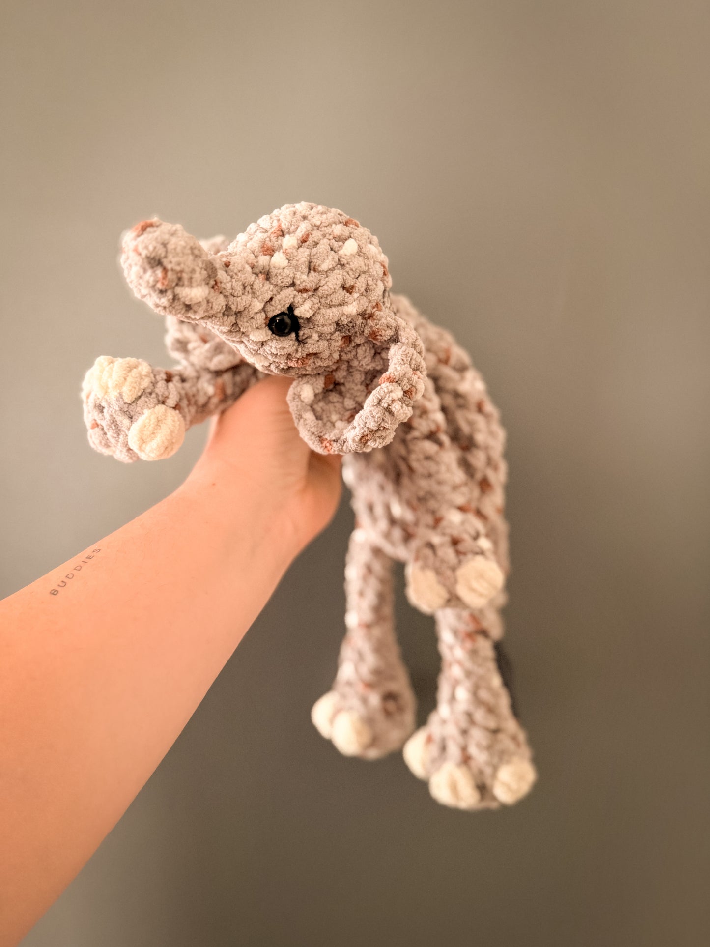 Zim the Baby Elephant